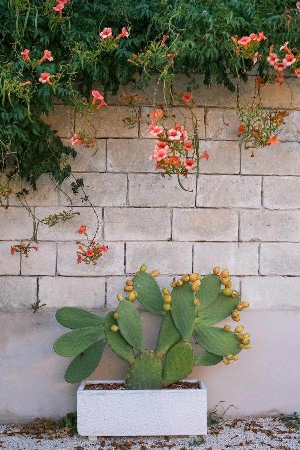 Terra D'Otranto Bed & Breakfast Uggiano La Chiesa Ngoại thất bức ảnh